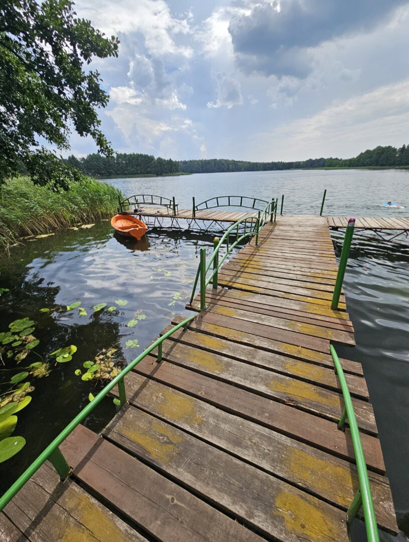 Damian Trędowicz - 12